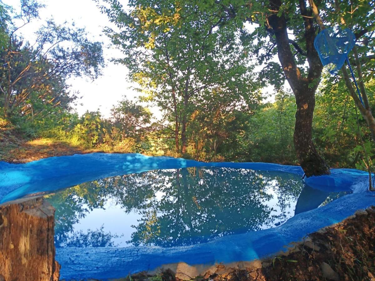 @Gatetothewild Bed & Breakfast Coreglia Ligure ภายนอก รูปภาพ