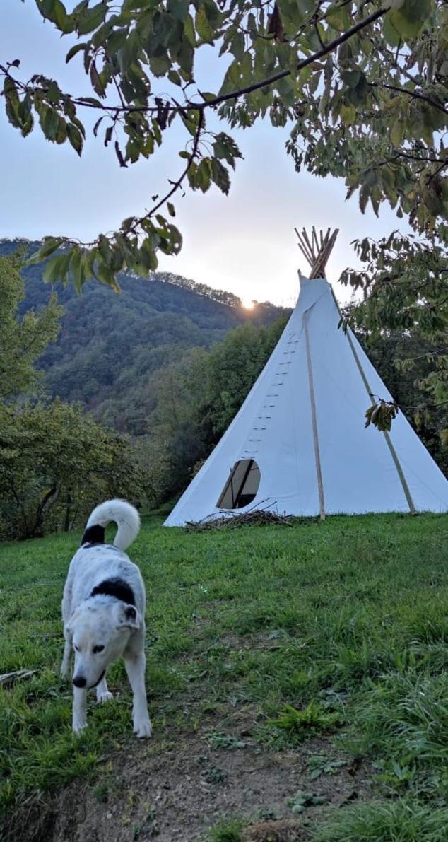 @Gatetothewild Bed & Breakfast Coreglia Ligure ภายนอก รูปภาพ